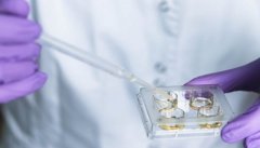 试管最佳的取卵时期是什么时候？