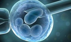 试管进入周期是一个复杂的过程,停止前要咨询医生