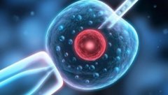 试管移植失败的原因，试管移植失败后可以采取这些措施