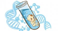 试管移植期间，母体该摄入哪些蔬菜呢？