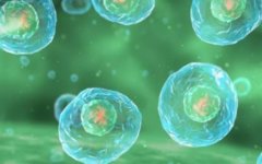 试管准备工作有哪些，准备工作包括哪些步骤？