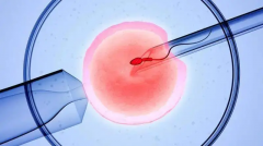 选择胚胎移植时机需慎重，必须月经来潮前2-3天完成