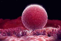 茂名试管费用需要多少钱，2024年最新费用如下