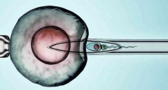 拉萨三代试管借卵之旅：五大步骤，带你解锁新生命之谜！
