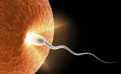 新疆借卵试管：费用全攻略，让你一目了然！