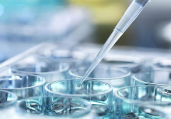 信阳高龄借卵试管成功率：真实数据揭秘，60%只是起步！