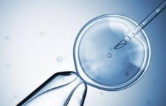 俄罗斯借卵试管价格：费用清单全透明，一看就懂！