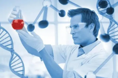 佛山私人试管医院大起底：为不孕夫妻解锁全新助孕