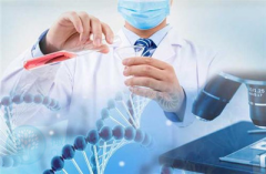 佛山借卵试管价格大公开：各项目费用预估，让你心里有数！