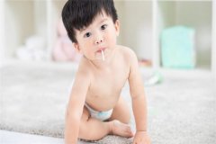 窦卵泡能否助力试管？答案全在这！