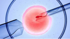 香港试管费用，一疗程竟需近40000美元？