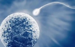 逆行射精试管技术，安全又高效的生育新选择！