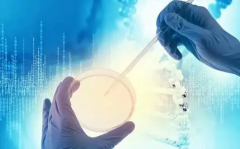 辅助生殖技术，助力不孕夫妻拥抱梦想宝宝