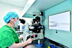 香港，试管梦想起航的优选之地