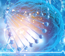 探索辅助生殖技术奥秘，精选助孕医院指南