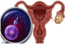 试管移植冻胚成功率到底有多高，又如何提升呢？