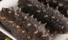 海参有助于提高试管成功率，试管移植后如何安全吃海参？