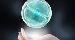 试管能否孕育双胞胎？解读双胞胎生育风险！