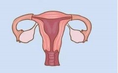 取卵后或面临子宫下落风险，还需要注意这些事项