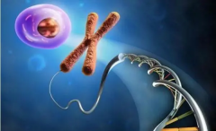 甘肃借卵试管费用揭秘：合理性与医院费用概览