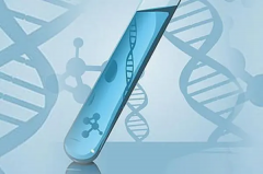 甘肃借卵试管医院实力解析,探寻试管最佳之选