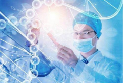 澳门借卵试管，合法性与成功率全在这里