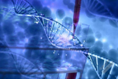 佛山选性别试管的“费用清单”大公开！