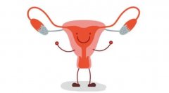 内膜厚度检测有什么作用，检测过程中要注意什么？