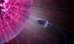 试管短方案助于提高不育成功率，这些这是需要掌握