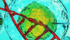 收藏！一文了解试管短方案的这些优缺点