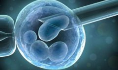 香港养和医院试管选择性别确保家庭的性别比例