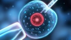 50岁以上高龄做试管成功率仅为3%，年龄越大借卵受孕成功率越低