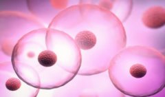 青岛试管借卵助孕费用由两大类组成，价格差异较大