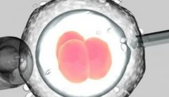 青岛借卵试管计划成功，受助者应该做好充分的准备