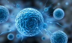 深圳私人试管医院大全，这些医院技术和服务好