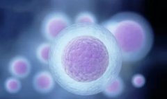 试管移植术需要住院吗?试管移植需要几天？