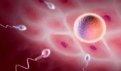 一文了解试管全流程，注意进行检查的阶段