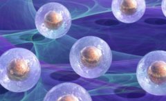 试管医院借卵要满足这些条件，注意还有额外的条件