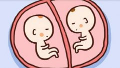 帮助孕妇实现受精，一文了解试管利弊