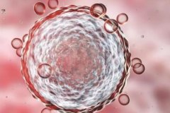 甘美医院做试管可以选性别，但也存在一些风险