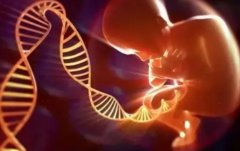 乌克兰借卵试管什么情况下才可以报销？报销标准了解