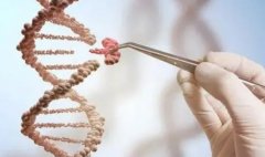 试管选择性别需要什么条件？需要充分考虑技术风险