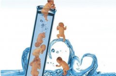 国内试管借卵技术情况汇总，遵守法律和政策谨慎实施