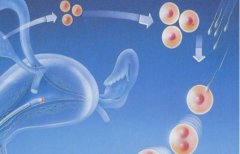 丰宁满族试管越来越受欢迎，这些情况提前了解