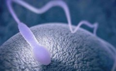 台安医院试管怎么样，这些好处值得了解