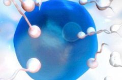 50岁借卵做试管需要多少钱，要考虑什么因素？