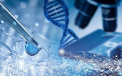 试管可能会出现畸形胚胎，遇到这种情况怎么办？