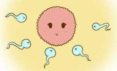 做完试管移植怎么知道是不是着床，着床后可能有这些反应