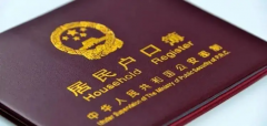 单身妈妈的奇妙旅程：试管小宝贝，户口攻略大揭秘！
