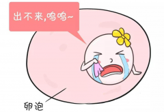 破解排卵小难题：自然调理VS医学科技，双管齐下迎好孕！